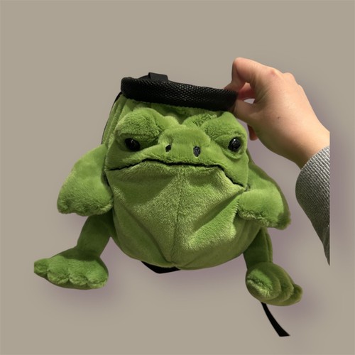 Frog chalk bag - chalk, rock