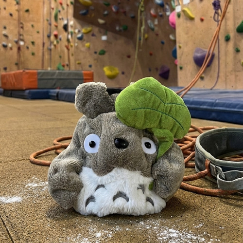 Grey chinchilla chalk bag - bag, |